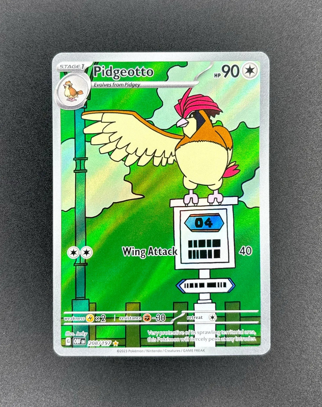 2023 Pidgeotto Illustration Rare Obsidian Flames #208 Near Mint